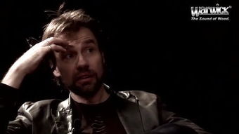 steve是什么个意思