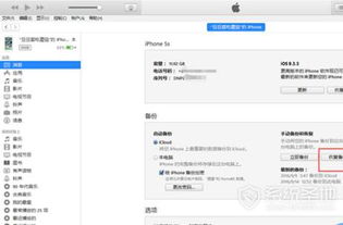 itunes备份文件在哪