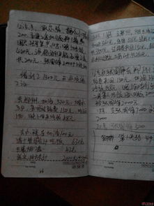 李玉进的日记门事件