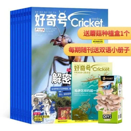 好奇号发现了什么？