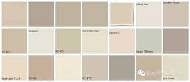 哪些颜色属于中性色系
