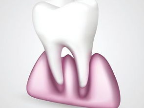 下牙掉了代表什么预兆