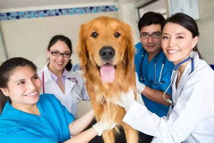 宠物医生大概年薪多少?