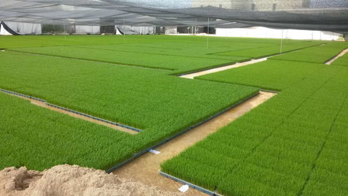 后年投资创业新门路,后年投资创业行业