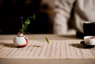 爱情里的人走茶凉是什么意思