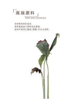 名花有主什么意思啊？谢谢