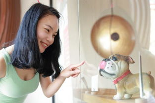 学妹来了的简介