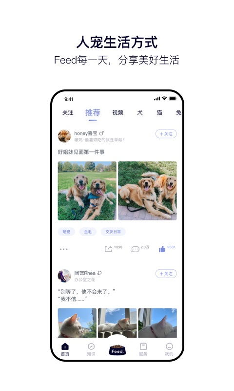 feed up,feed up with