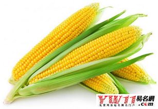 梦见玉米棒子成堆