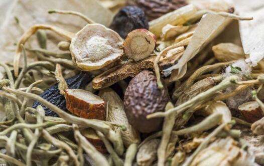 种植什么药材最赚钱