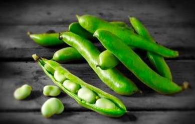 《我的世界手机版》0.10.5皮肤编辑器下载_蚕豆网移