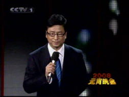 白岩松的个人简介如何？