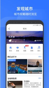 请问一下，掌上高铁上面，如何进行余票查询？