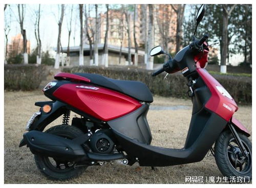 摩托车踏板报价大全,踏板摩托车价格及图片 报价