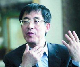 邢利斌为什么被抓