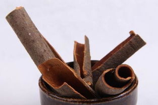 官桂的别名是什么