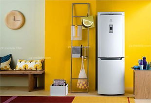 冰箱品质排名,哪个冰箱品牌质量好
