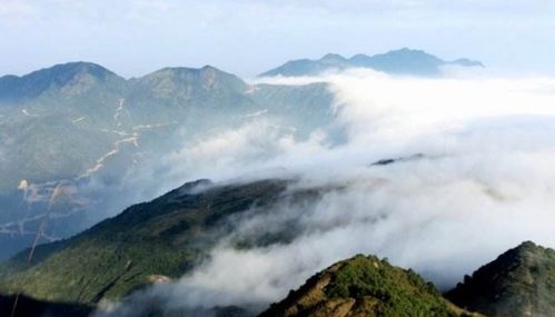 诵的意思和含义