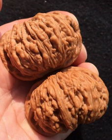 盘核桃的正确盘法