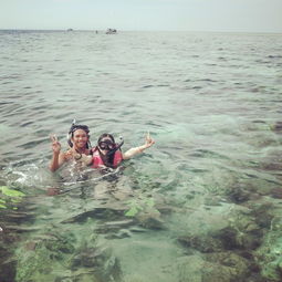 梦见大海波涛汹涌