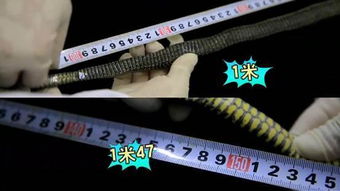 7寸照片尺寸多少厘米