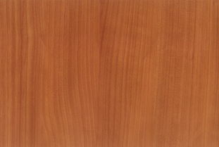 PC是什么材料？