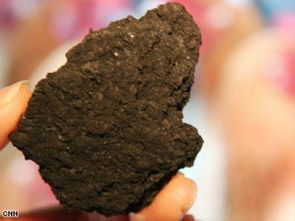 生物碳源是什么