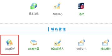 怎样设置新网域名解析地址？