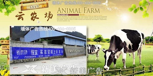 云农场是做甚么的？