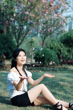 太平洋汽车网的公司简介