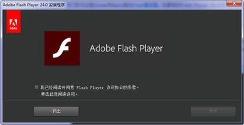 怎么开启Adobe Flash Player