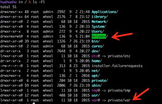 bash命令是什么意思