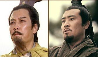 新三国演义演员都有谁？