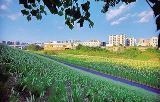 什么是绿色社区