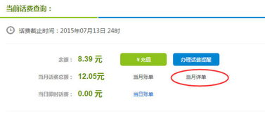 直接输入号码查询话费