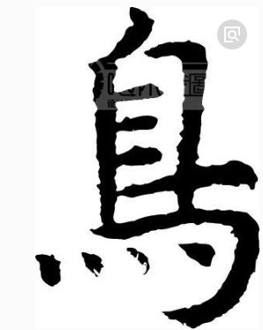 鸟字旁的字大多都和什么有关