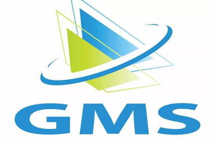 GMS是什么意思