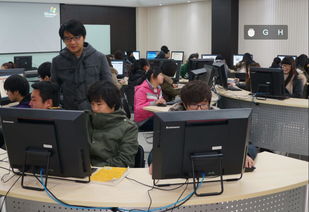 什么叫创业模拟实训（名词解释）