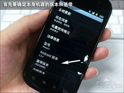 怎么才能知道自已的手机型号呢？