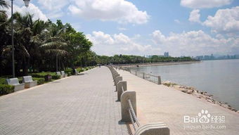 深圳景区免费景点有哪些好玩的地方