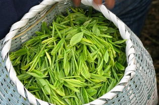 茶叶排名前十名,茶叶排名前五名