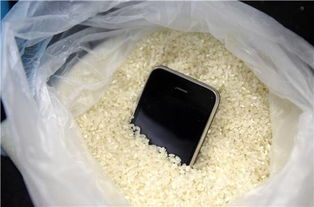 手机进水放大米里需要纸包上吗