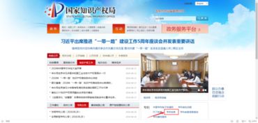 国家知识产权官网查询系统,知识产权网