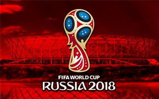 世界杯在哪看直播,联赛杯直播