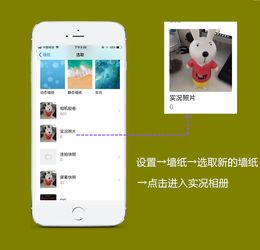 苹果怎么设置动态壁纸不用按就播放,苹果怎么设置动态壁纸锁屏