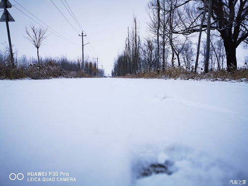 看雪论坛邀请码！！！