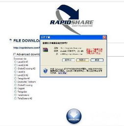 rapidshare怎么用？