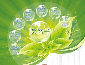 什么叫做负离子？