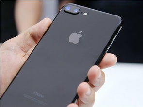 一个苹果多少钱