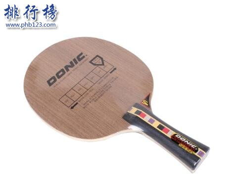 乒乓球拍什么牌子好 哪个牌子的乒乓球拍